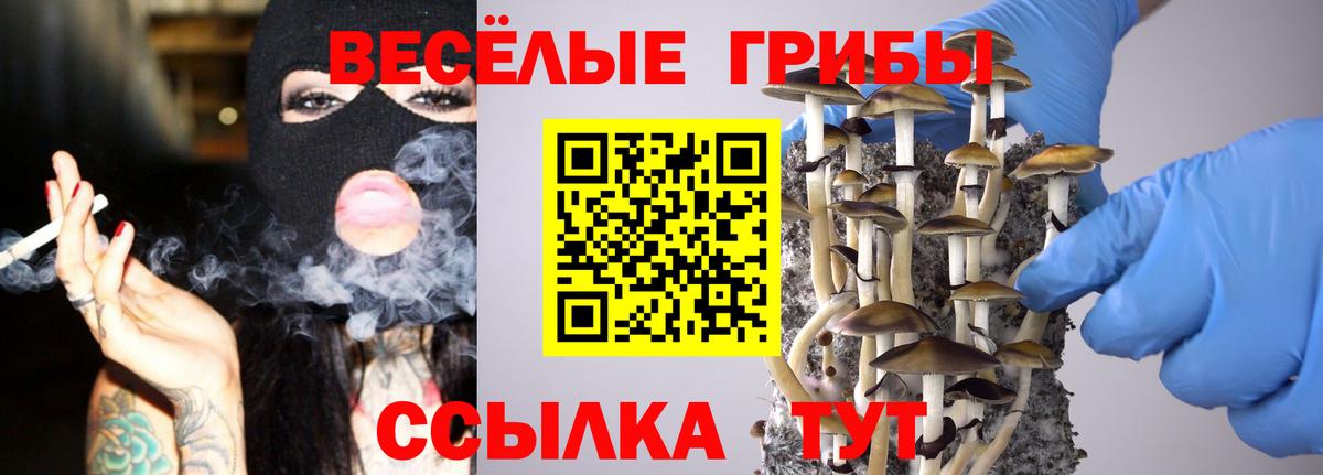 Галлюциногенные грибы мицелий Ковров